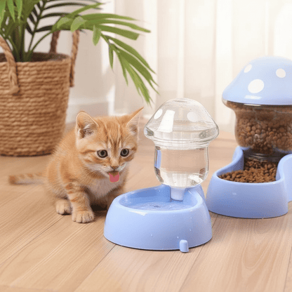 1.8L Automatic Dog & Cat Feeder with Anti - Tip Bowl - Ryan's Pawsitive Pet Shoppe