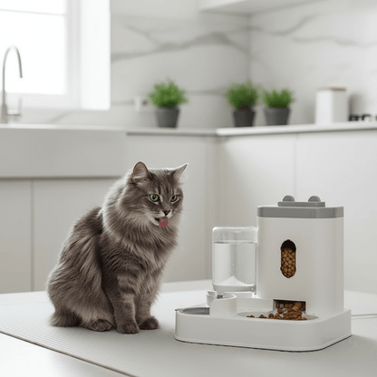 Automatic Pet Feeder With Water Fountain For Cats And Dogs - Ryan's Pawsitive Pet Shoppe