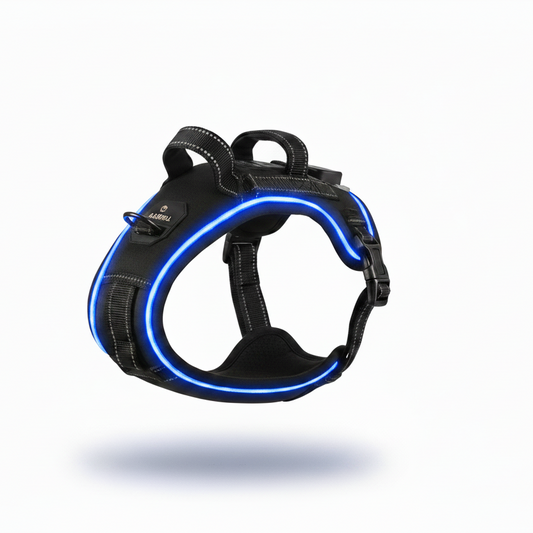 Blue LED Light Up Dog Harness