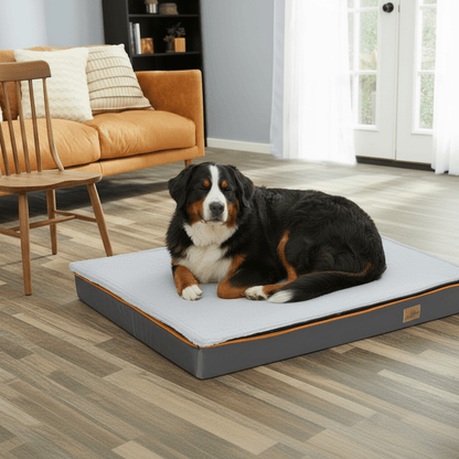 Foam - padded Orthopedic Dog Bed with Washable Cover - Ryan's Pawsitive Pet Shoppe