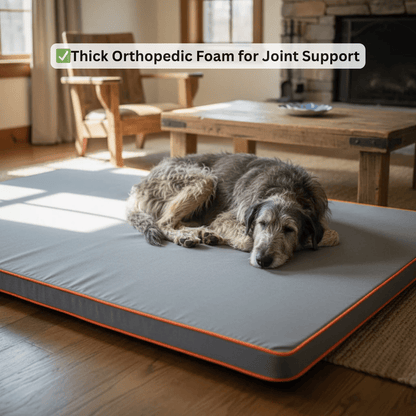 Foam - padded Orthopedic Dog Bed with Washable Cover - Ryan's Pawsitive Pet Shoppe
