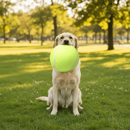 Giant Dog Tennis Ball With Rubber Core And Felt Exterior - Ryan's Pawsitive Pet Shoppe