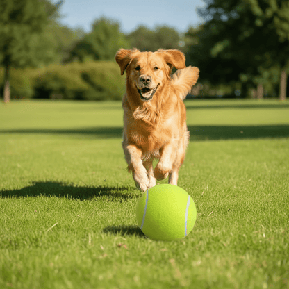 Giant Dog Tennis Ball With Rubber Core And Felt Exterior - Ryan's Pawsitive Pet Shoppe