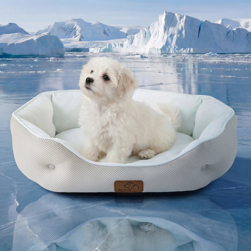 Premium Cooling Dog Mat for Summer Comfort - Ryan's Pawsitive Pet Shoppe