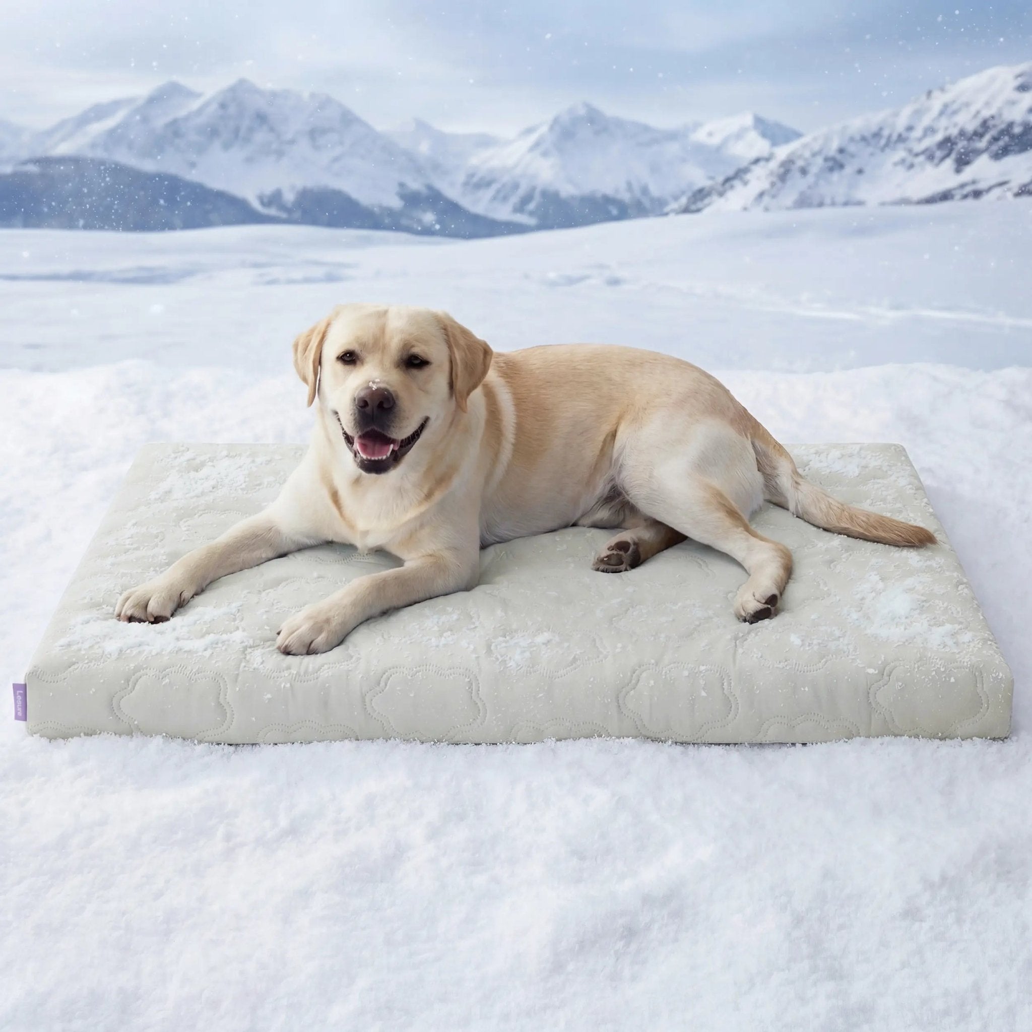 Premium Cooling Dog Mat for Summer Comfort - Ryan's Pawsitive Pet Shoppe