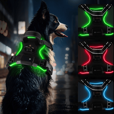 Rechargeable LED Light Up Dog Harness - Ryan's Pawsitive Pet Shoppe