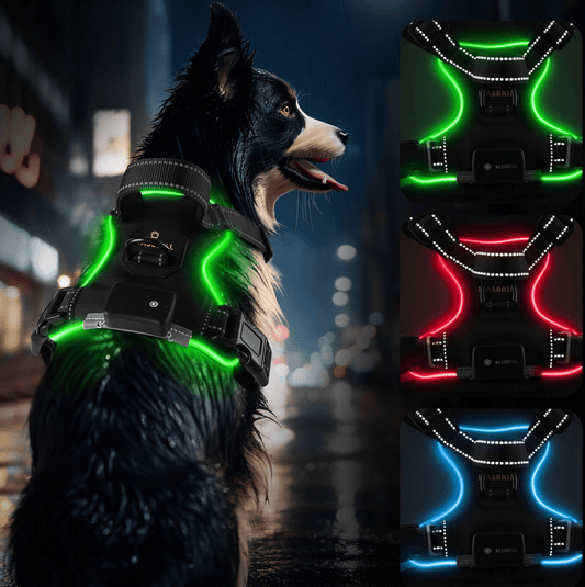 Rechargeable LED Light Up Dog Harness - Ryan's Pawsitive Pet Shoppe